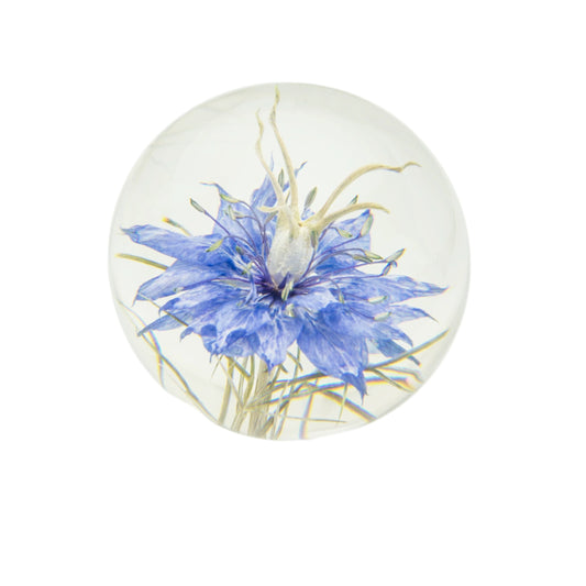 NIGELLA FLOWER PAPERWEIGHT SMALL
