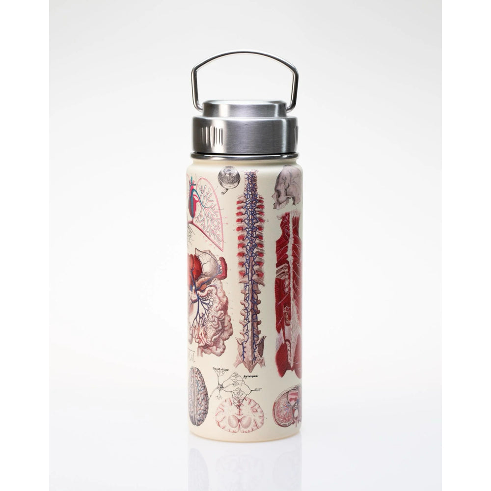 TRAVEL FLASK | ANATOMY 500ML