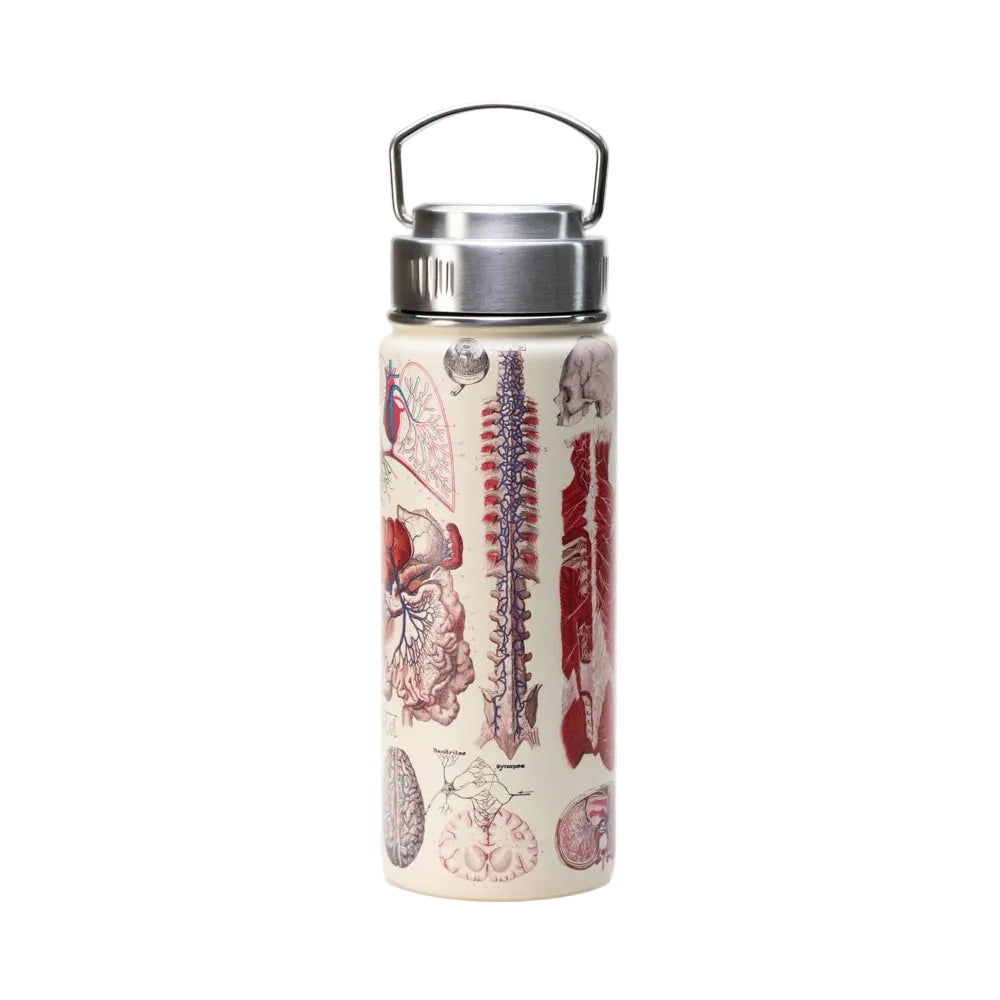 TRAVEL FLASK | ANATOMY 500ML