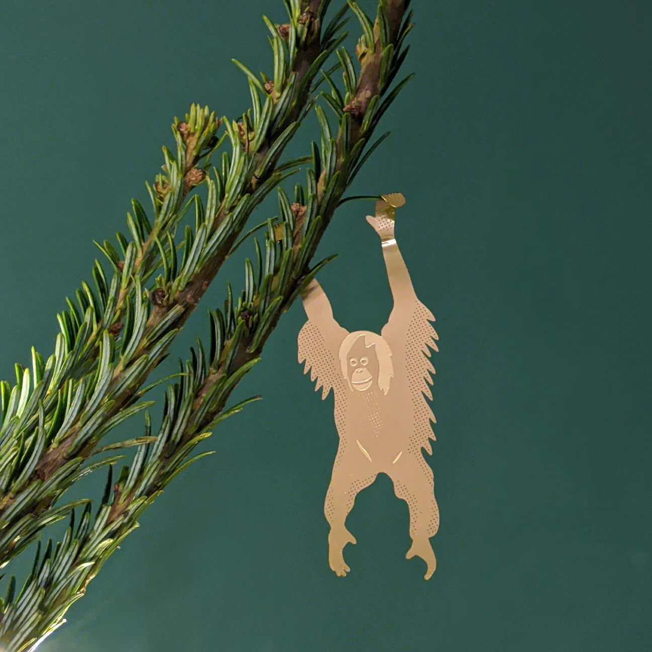 PLANT ANIMALS | ORANGUTAN