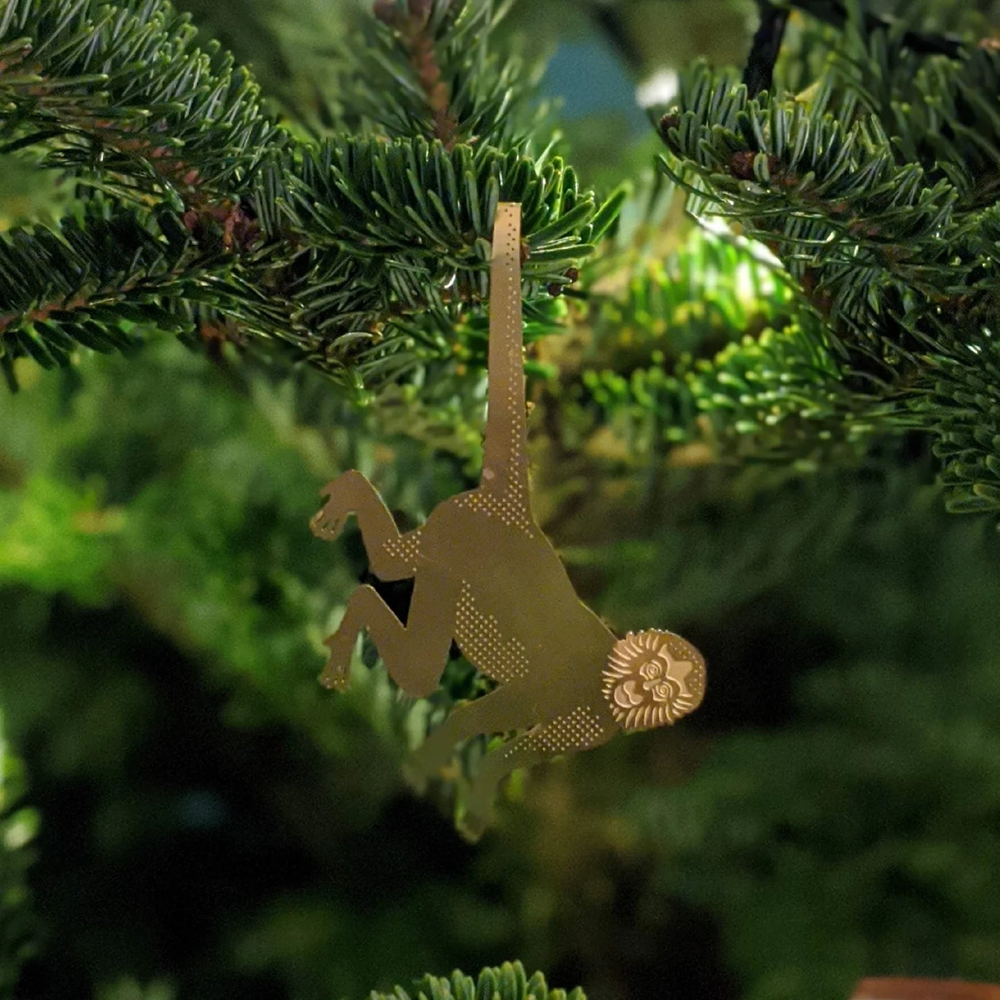 PLANT ANIMALS | MONKEY