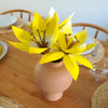 FLOWERS | CITRUS