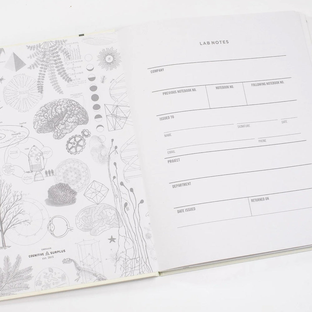 BRAIN & NEUROSCIENCE NOTEBOOK