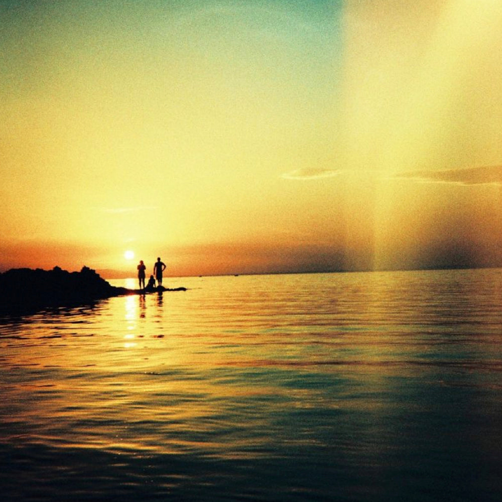 DIANA F CAMERA & PACKAGE | CMYK
