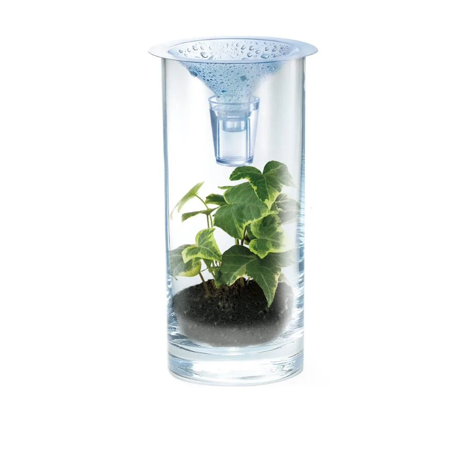 GREEN SCIENCE - CLEAN WATER SCIENCE / 4M KIDZ LABS