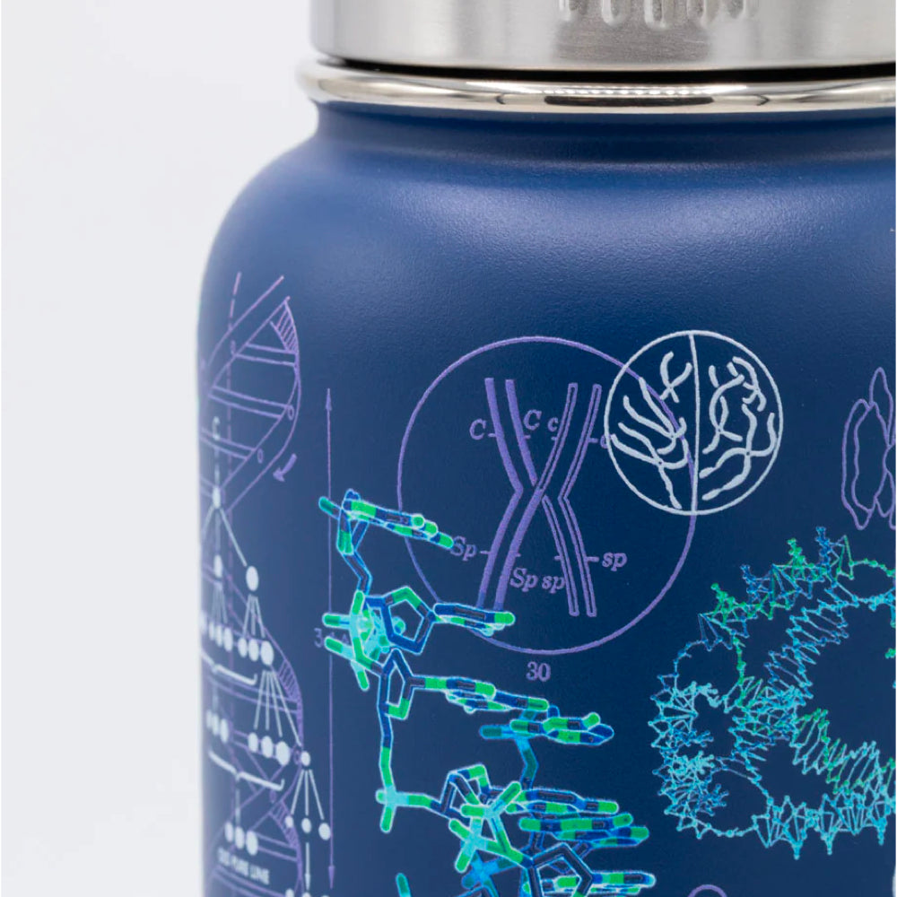 STEEL WATER BOTTLE | GENETICS 950ML