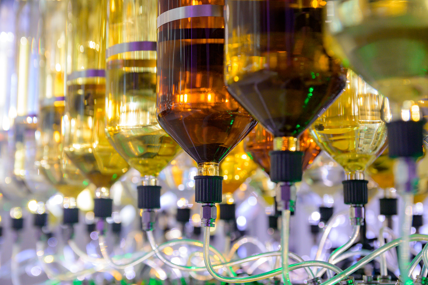 ALGORITHMIC PERFUMERY RENTAL