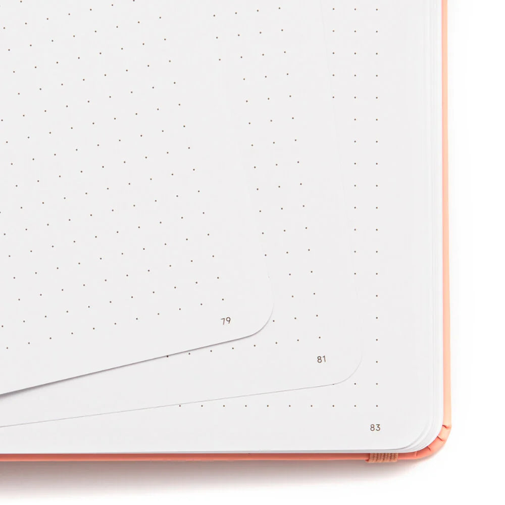 DANDELION NOTEBOOK | SAGE GREEN