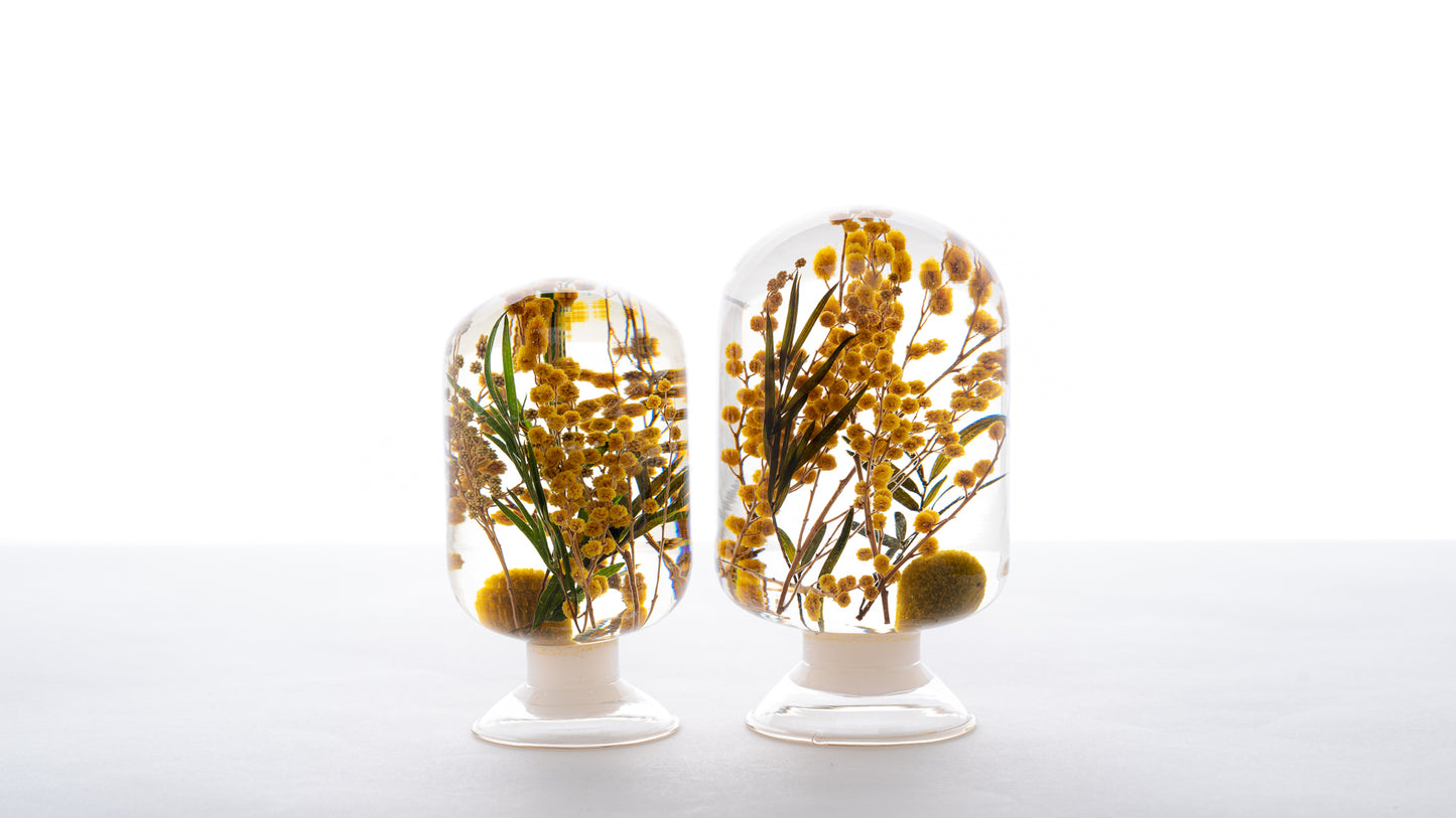 PIECES OF TIME | MIMOSA | LARGE