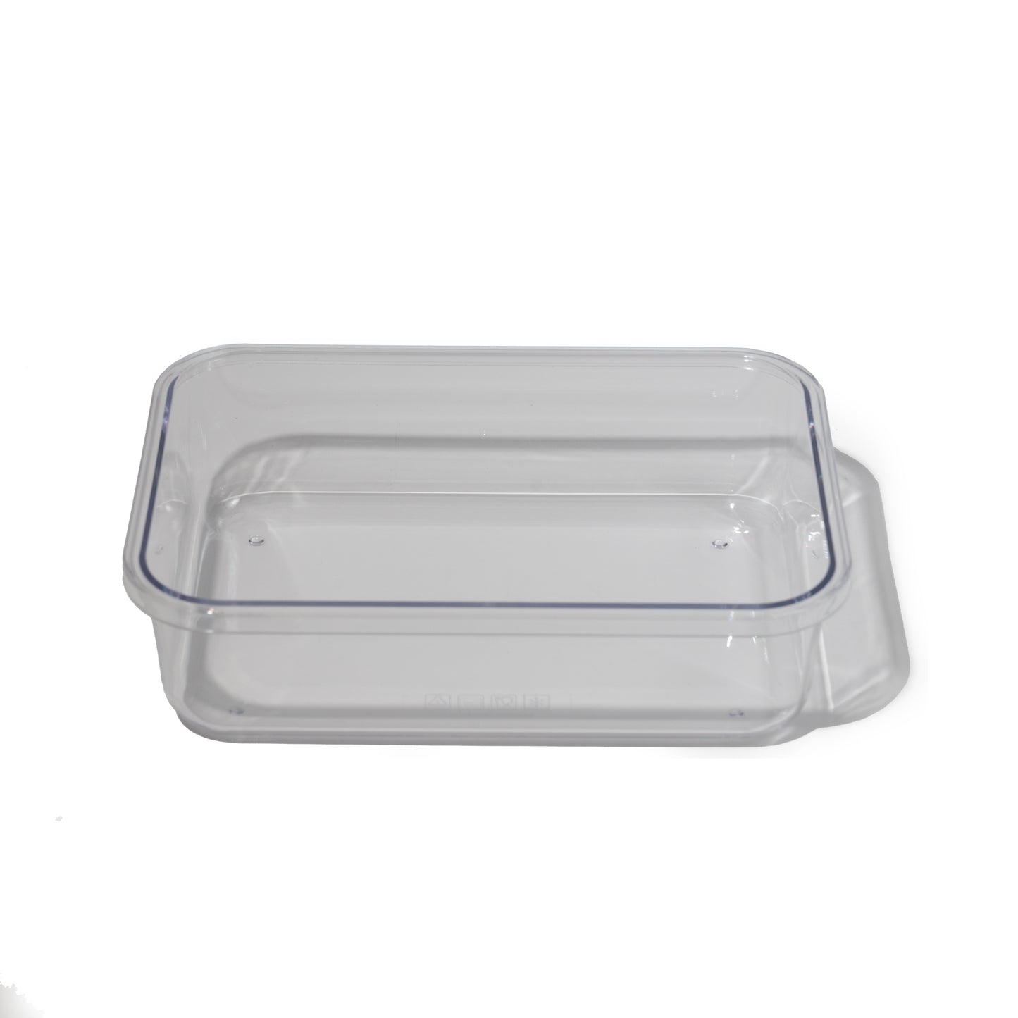 MOTF BRAIN LUNCHBOX | CREATIVE