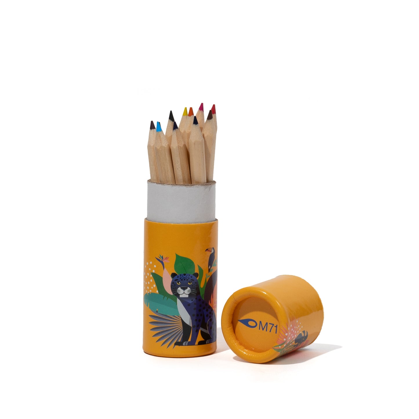 M71 CRAYONS | LEOPARD