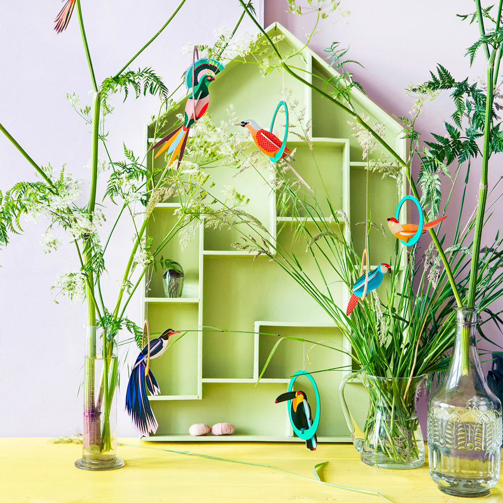 WALL ART | SWINGING TOUCAN