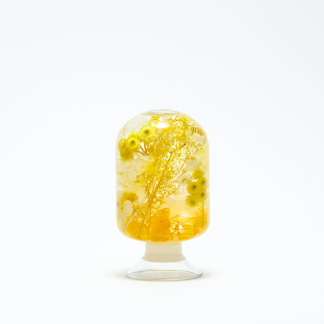 PIECES OF TIME | YELLOW IMMORTELLE | MEDIUM