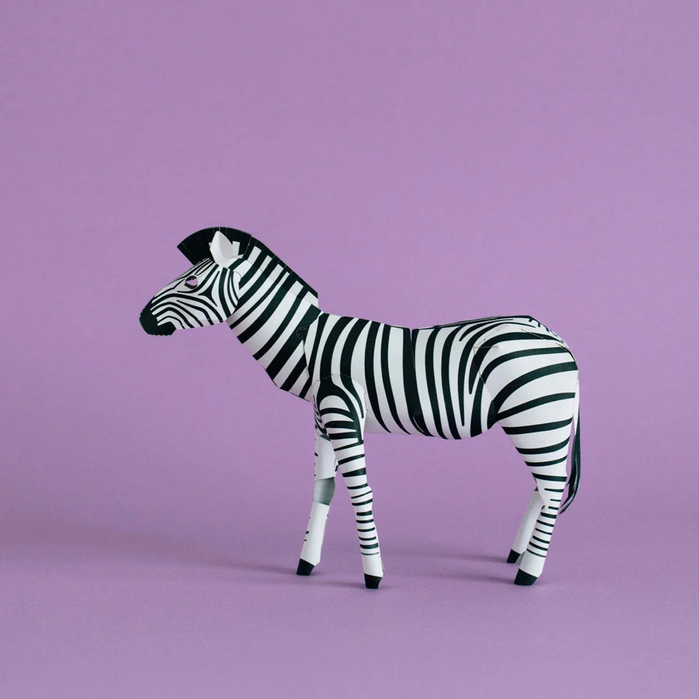 TOP TO TAIL | ZEBRA