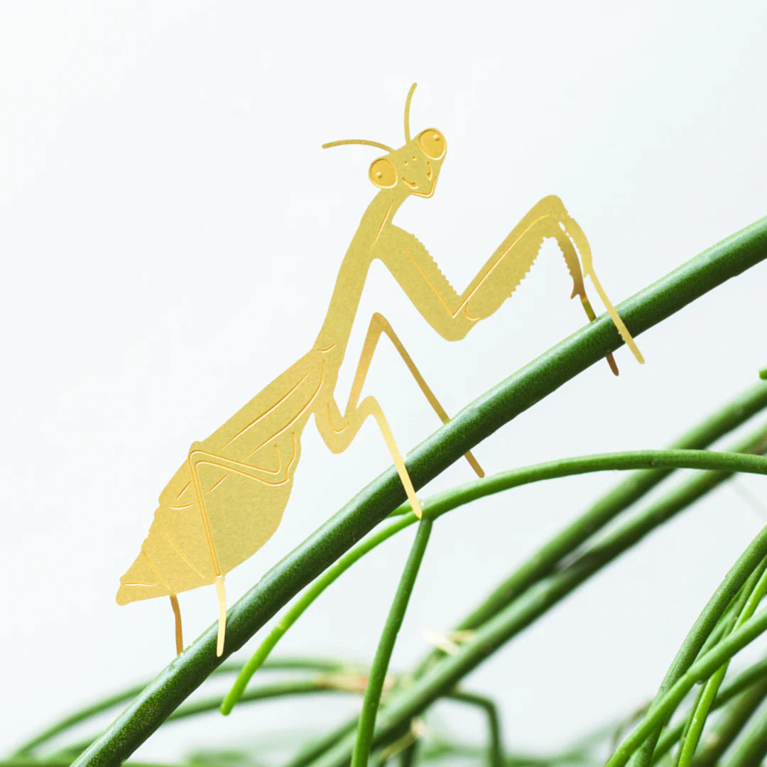 PLANT ANIMALS | PRAYING MANTIS
