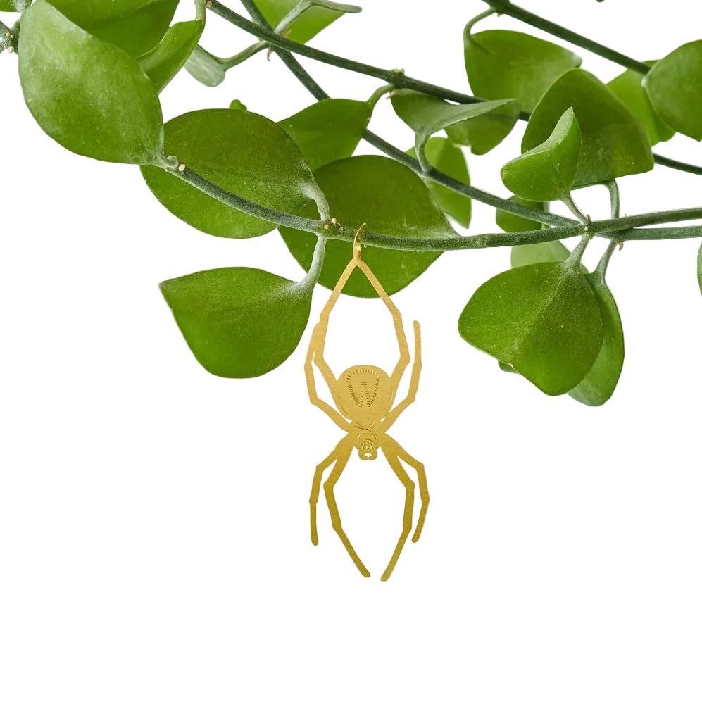 PLANT ANIMALS | SPIDER