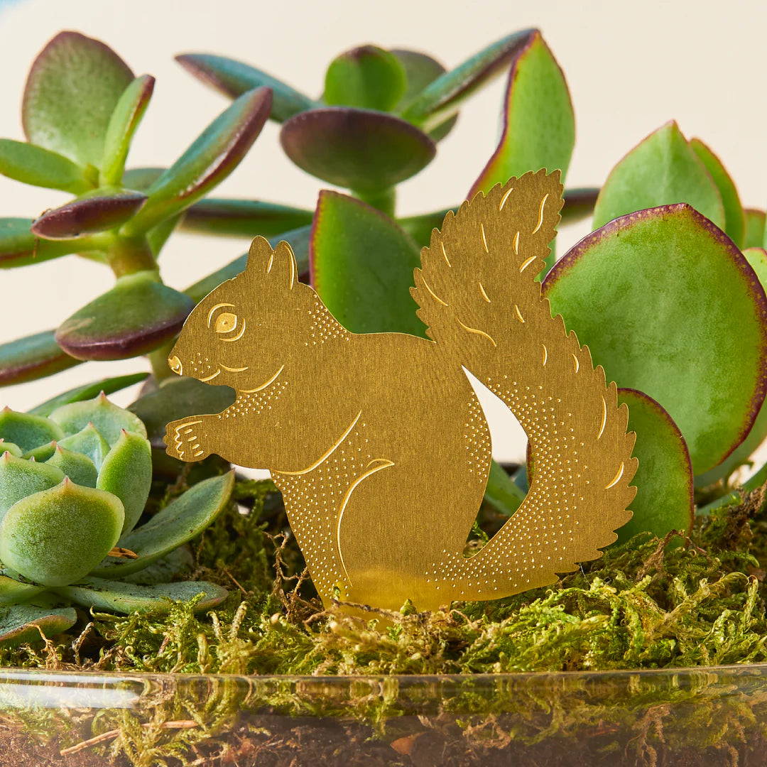 PLANT ANIMALS | SQUIRREL