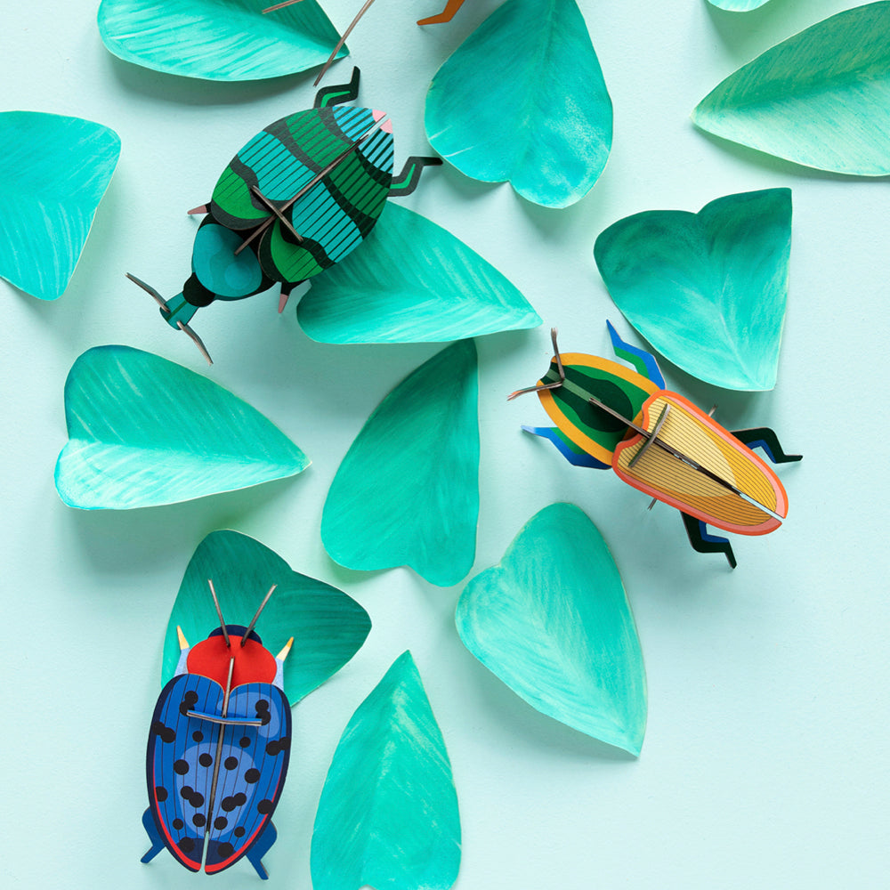 WALL ART | WEEVIL BEETLE