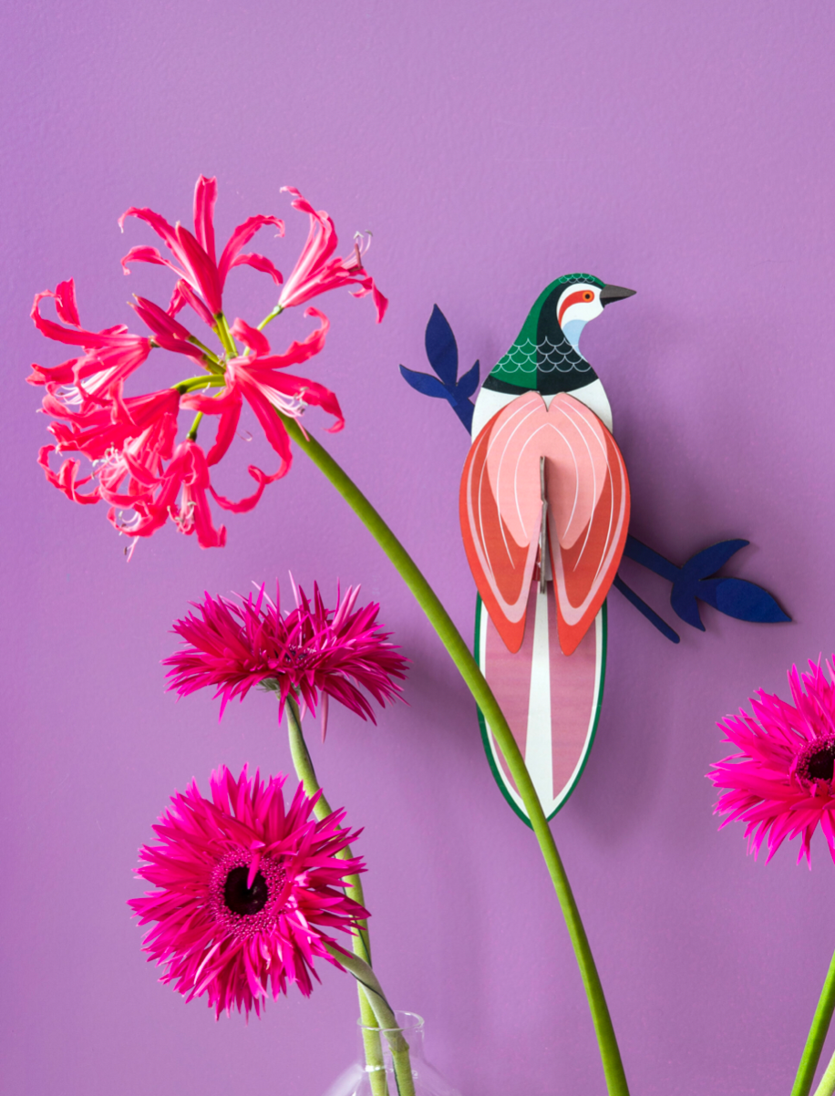 WALL ART | PARADISE BIRD RANI