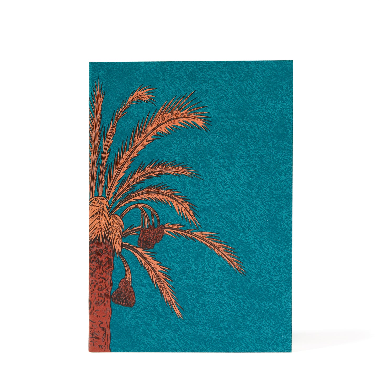 DEMAITHAN NOTEBOOK DESERT