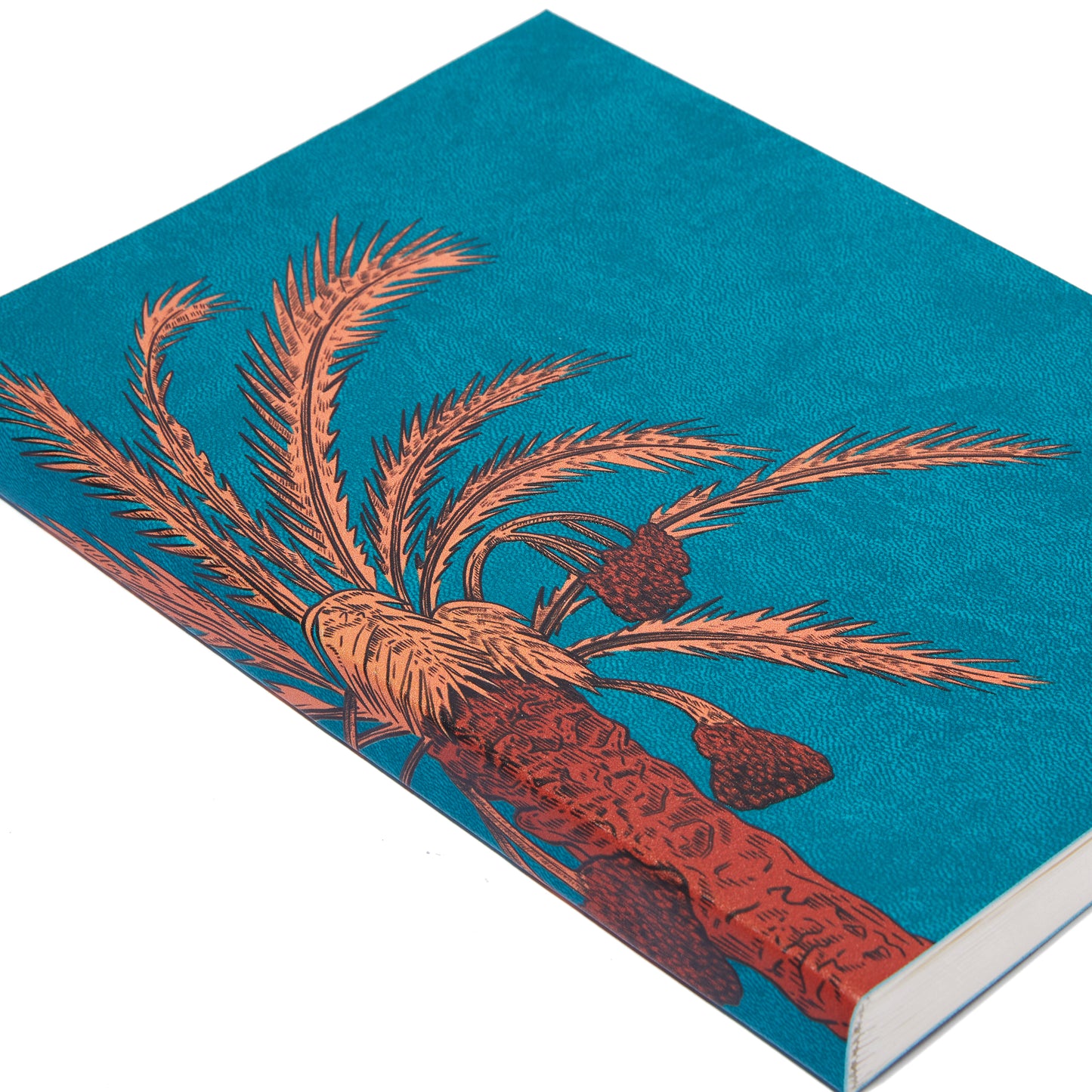 DEMAITHAN NOTEBOOK DESERT