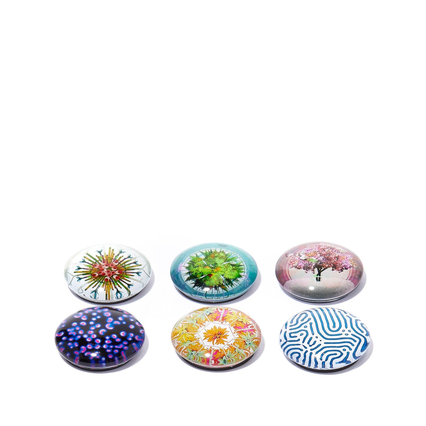 THE OBSERVATORY MAGNET SET OF 6