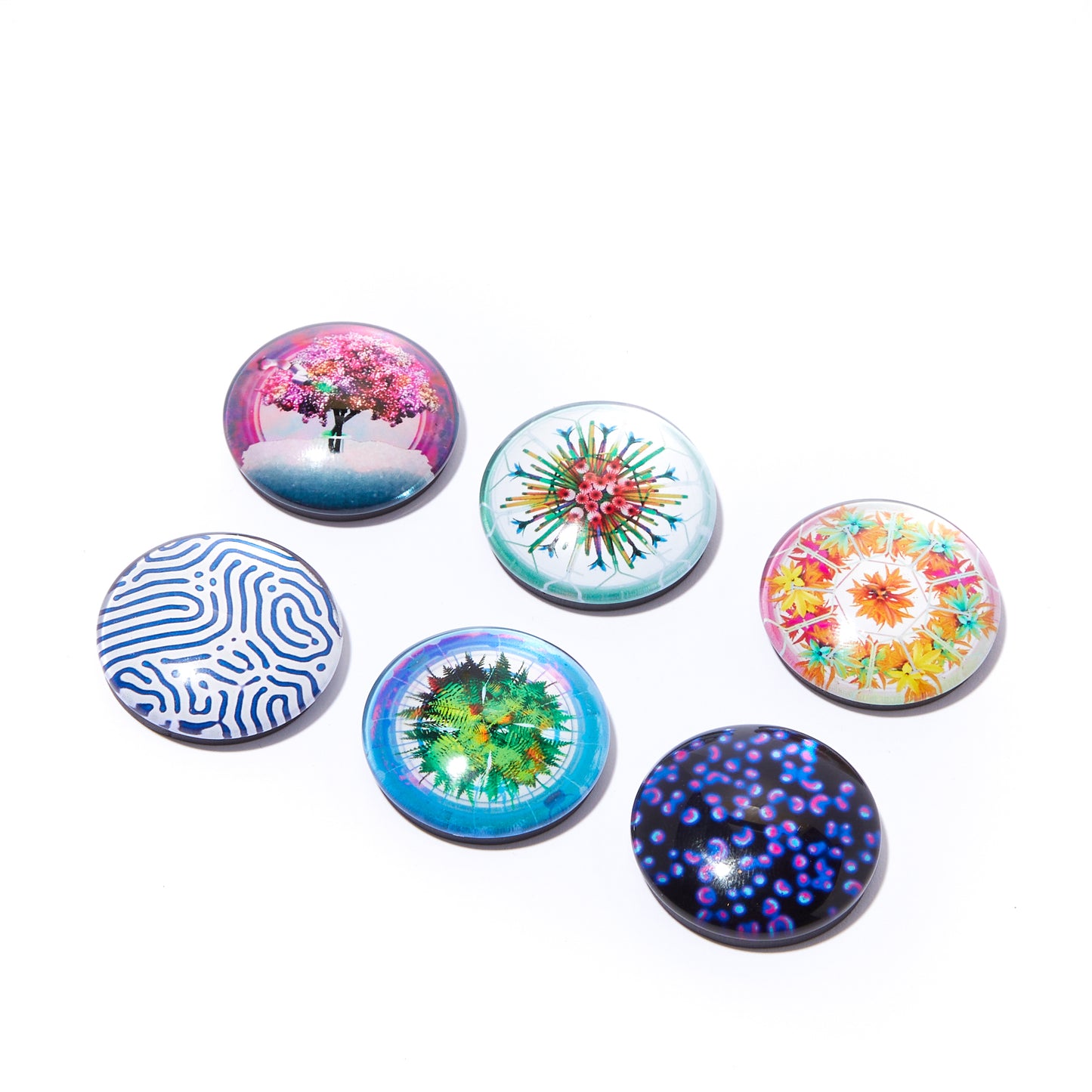 THE OBSERVATORY MAGNET SET OF 6