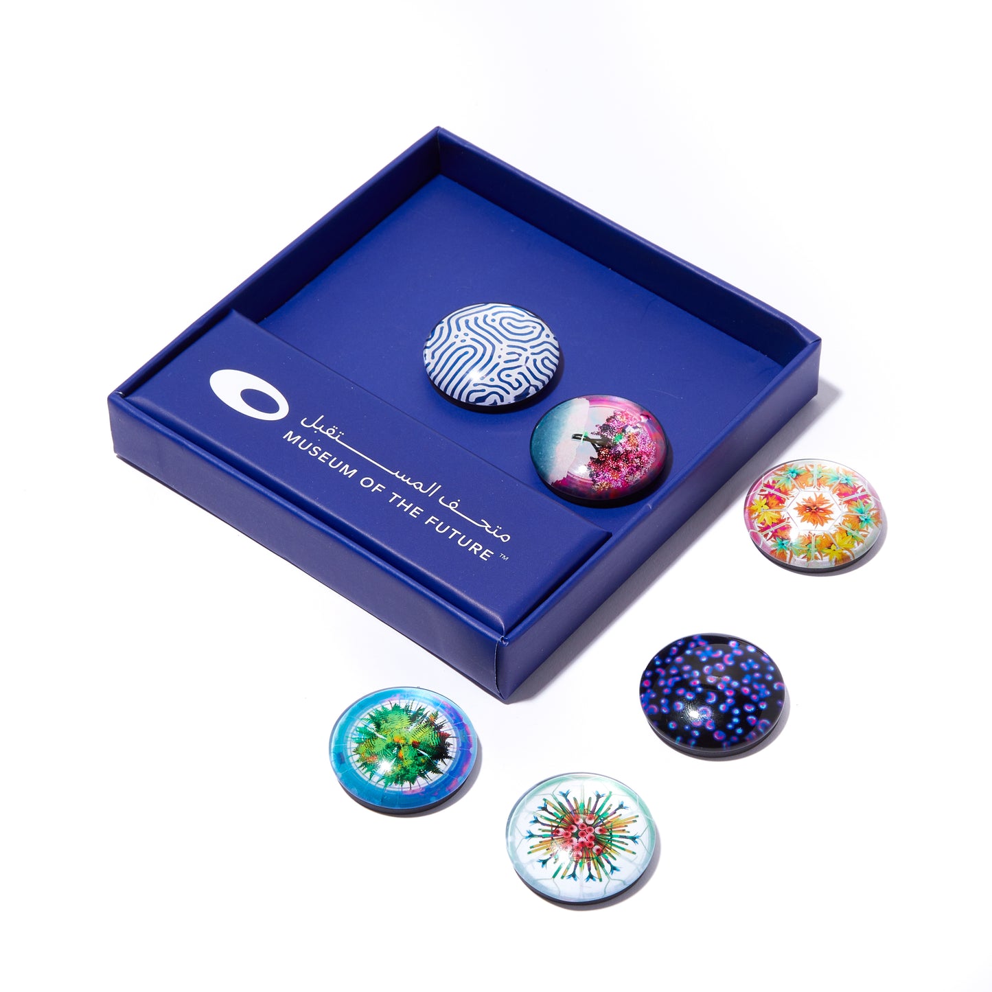 THE OBSERVATORY MAGNET SET OF 6
