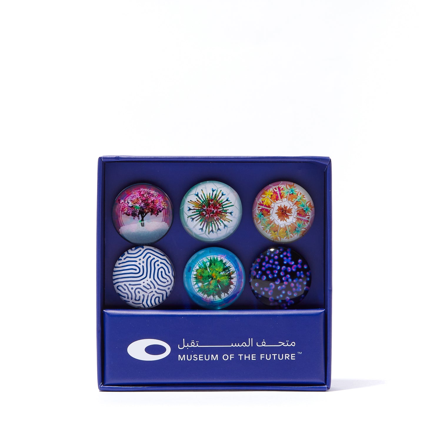 THE OBSERVATORY MAGNET SET OF 6