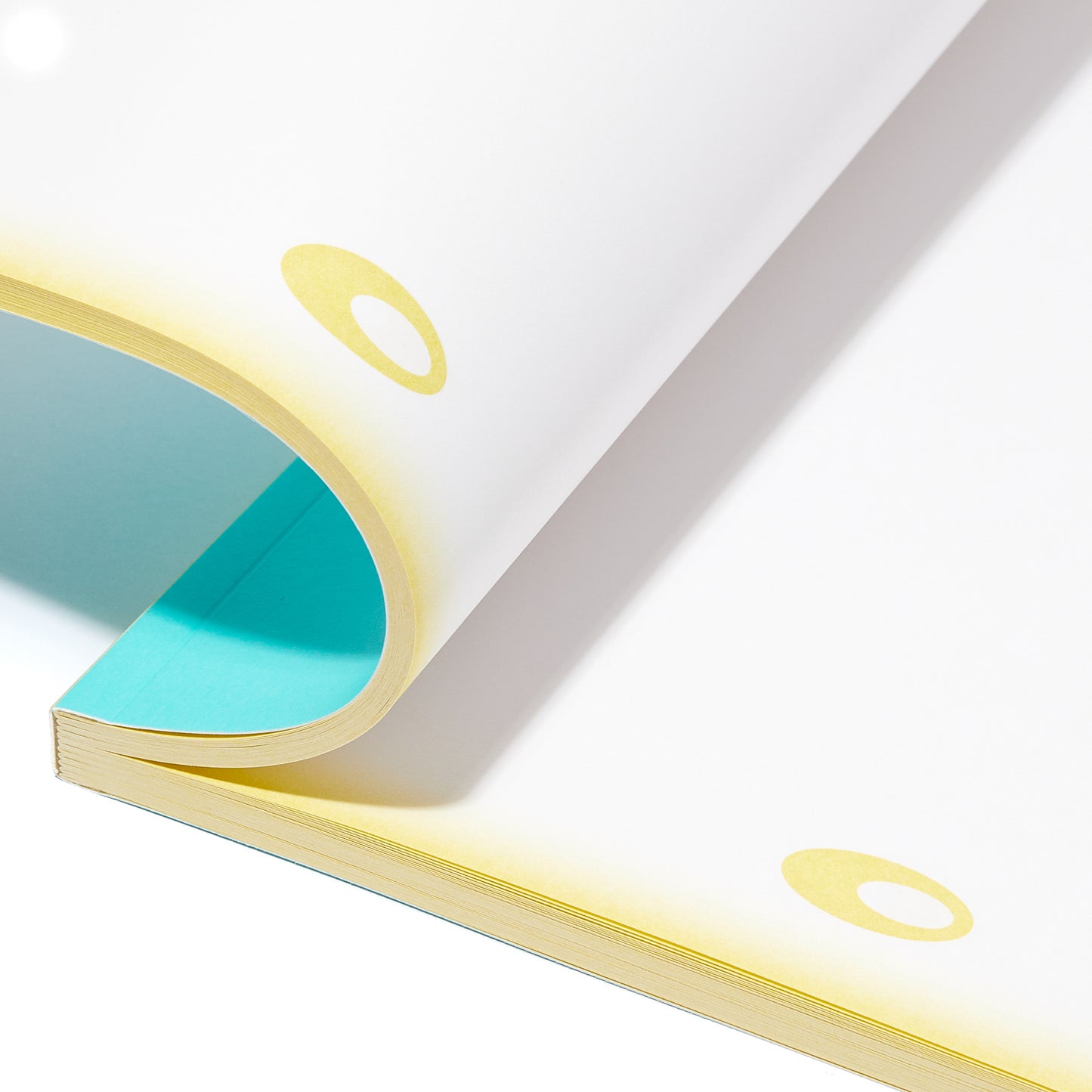 MUSEUM COLOUR BLOCK B5 NOTEBOOK | GREEN