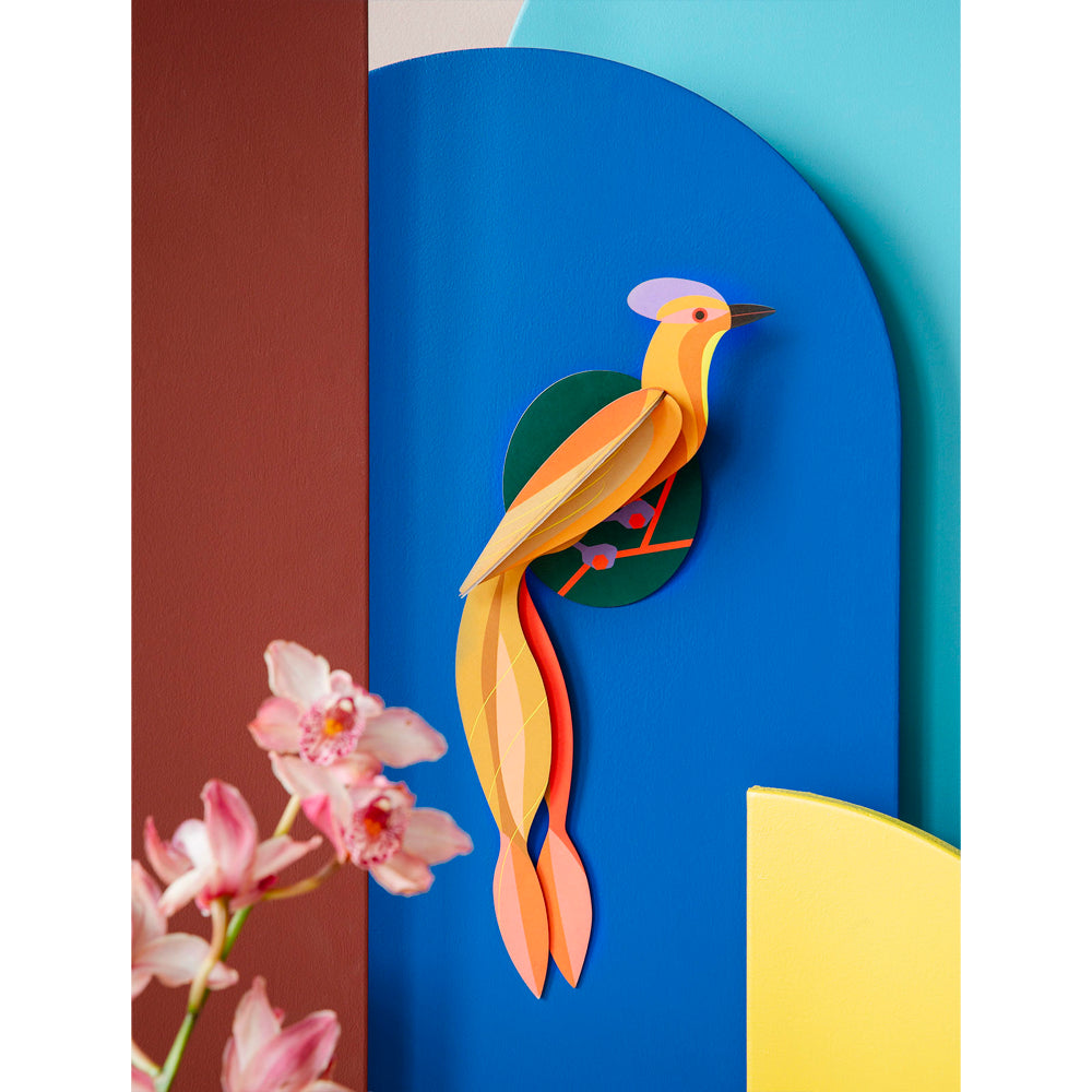 WALL ART | OLANGO PARADISE BIRD