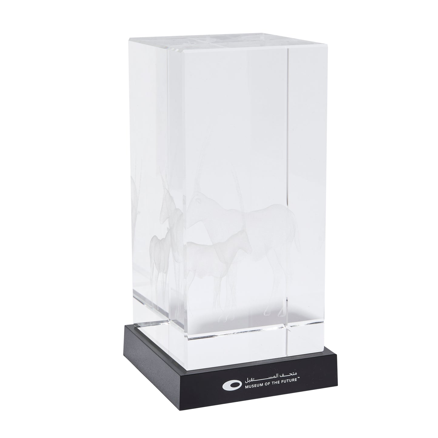 THE LIBRARY ORYX CRYSTAL | LARGE