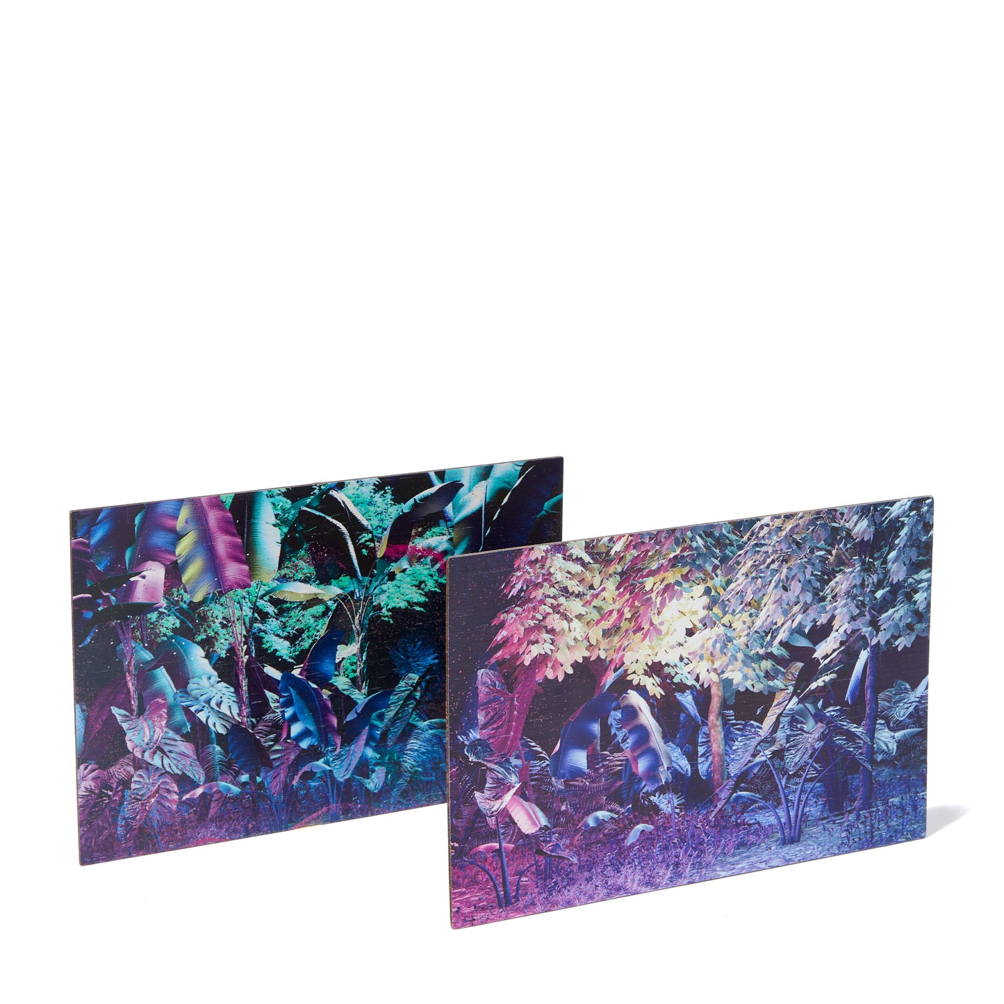 THE LAB WOODEN POSTCARD 2