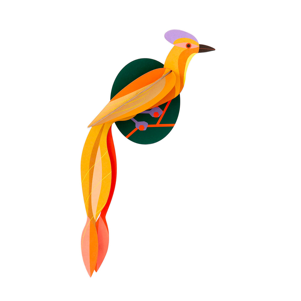 WALL ART | OLANGO PARADISE BIRD