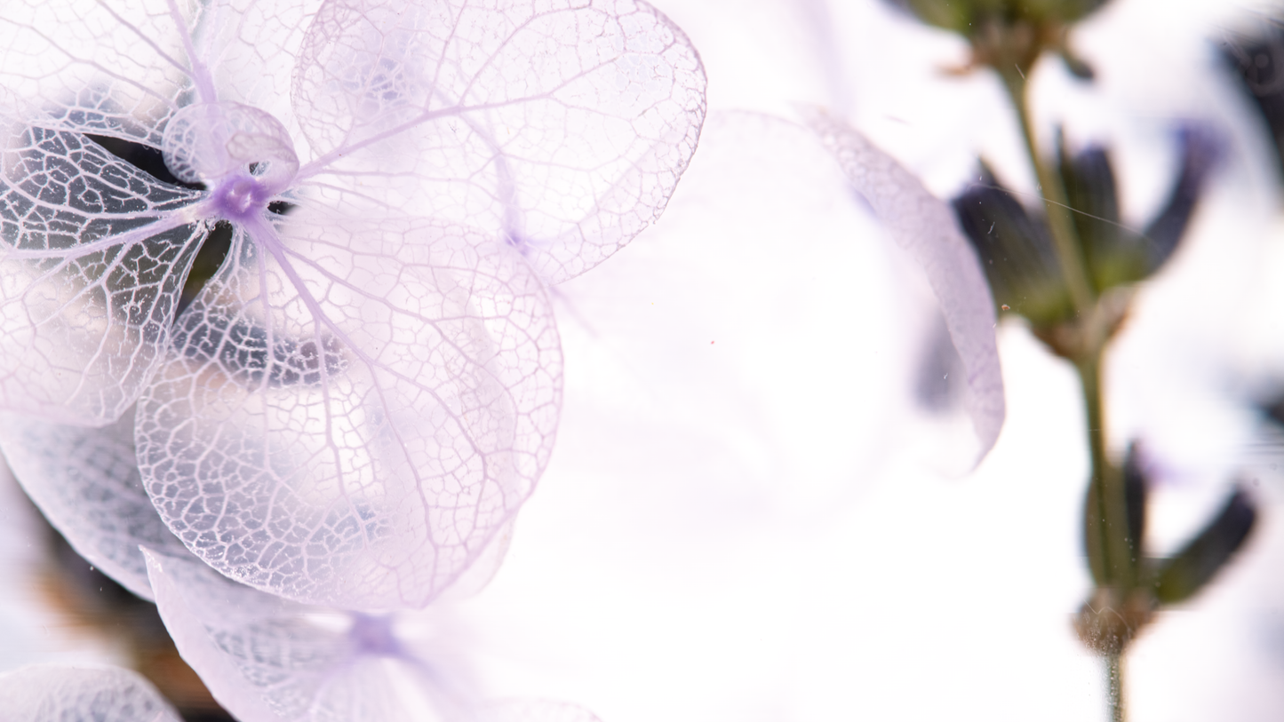 PIECES OF TIME | LAVENDER | LARGE