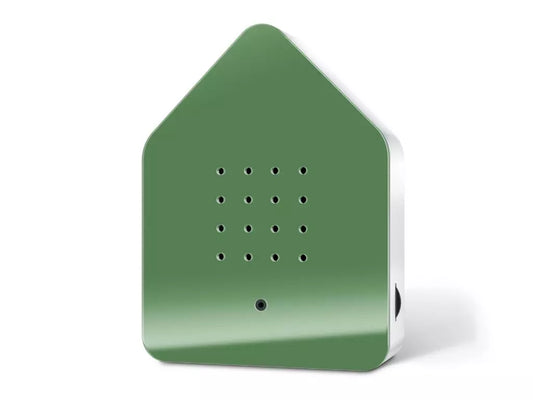 ZWITCHSCHERBOX BLACKBIRD | GREEN