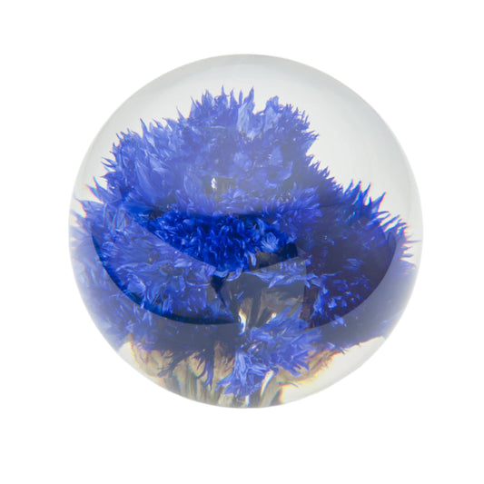 CORNFLOWER PAPERWEIGHT | SMALL