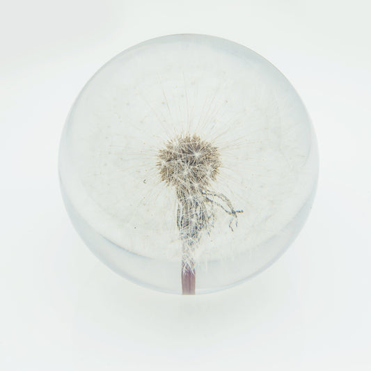 DANDELION PAPERWEIGHT | SMALL