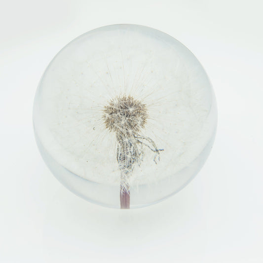DANDELION PAPERWEIGHT