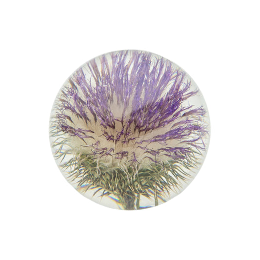 OPEN THISTLE PAPERWEIGHT