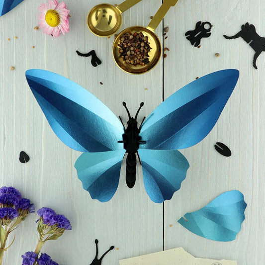 BIRDWING BUTTERFLY | GLOSSY AZURE BLUE