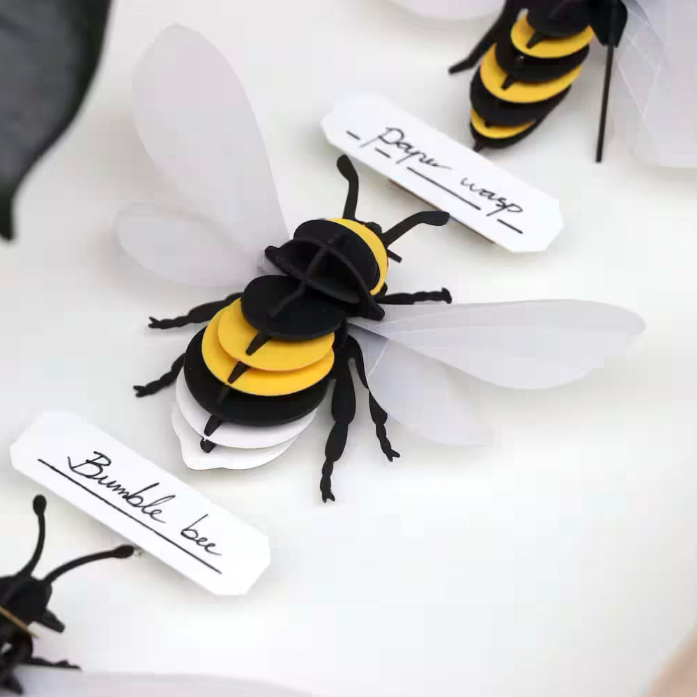 BUMBLEBEE | TRANSPARENT