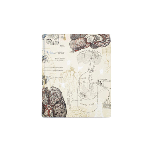 BRAIN & NEUROSCIENCE NOTEBOOK