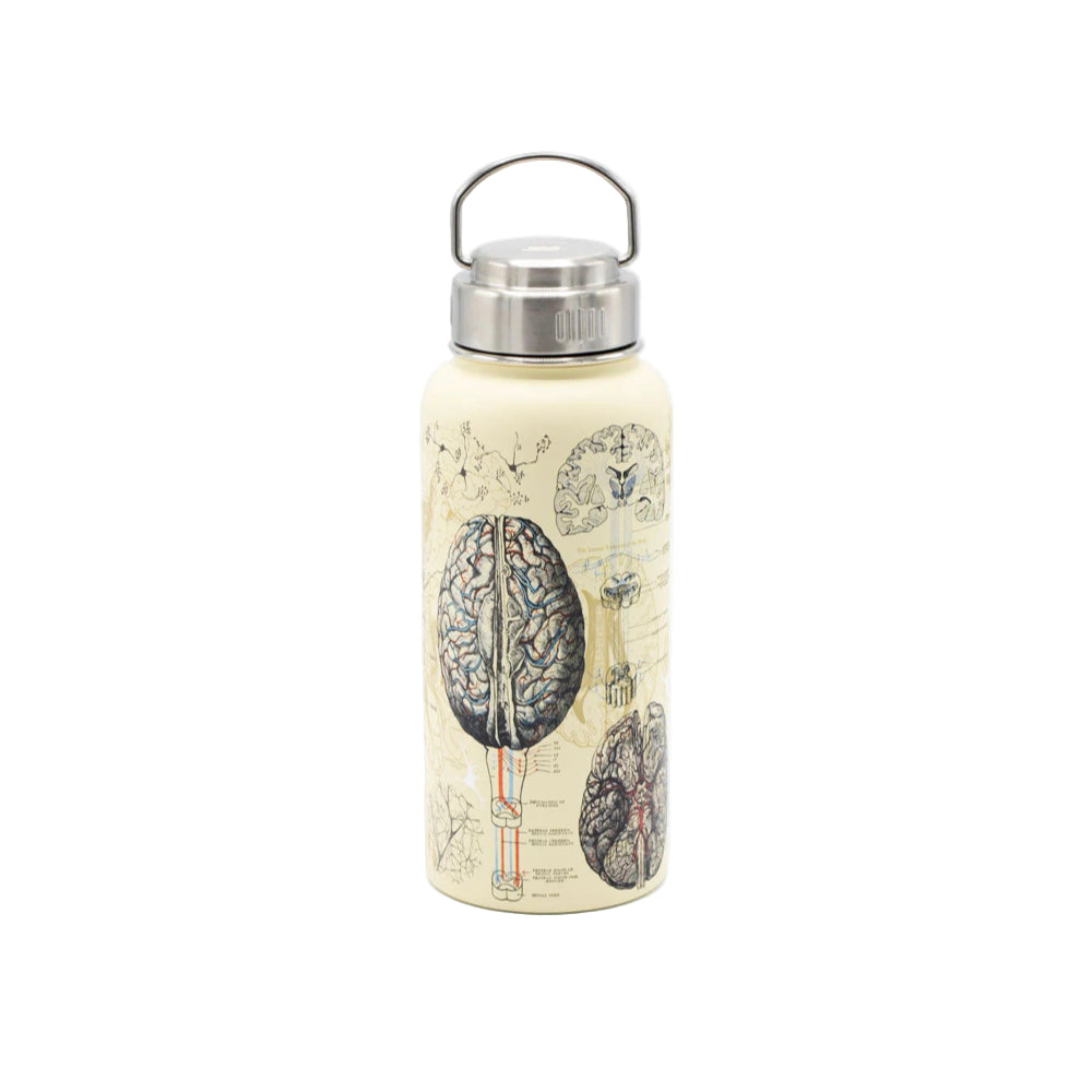TRAVEL FLASK | BRAIN 950ML