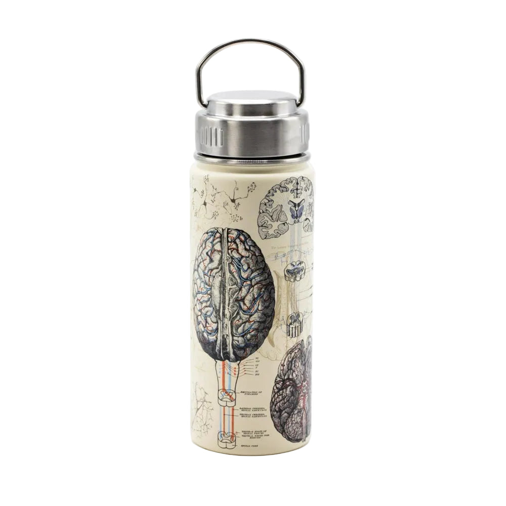TRAVEL FLASK | BRAIN 500ML