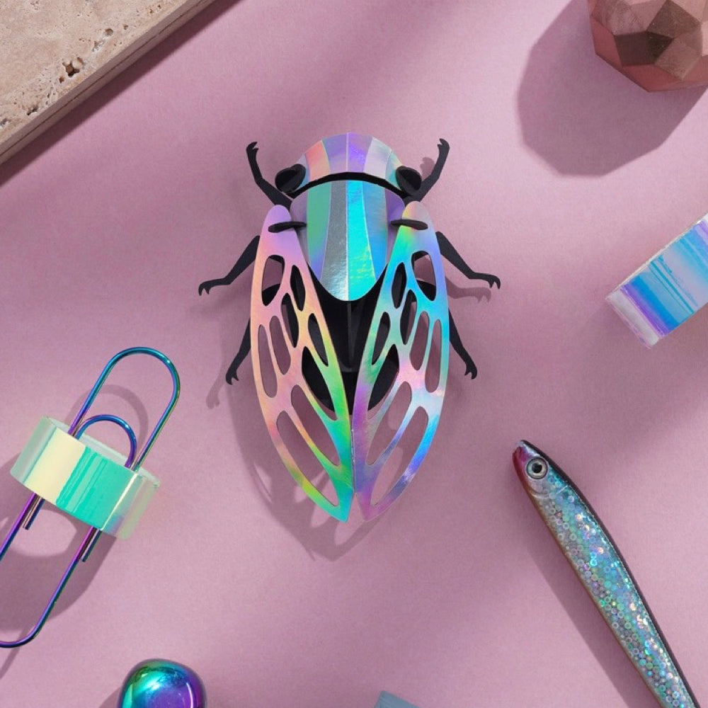 CICADA | RAINBOW