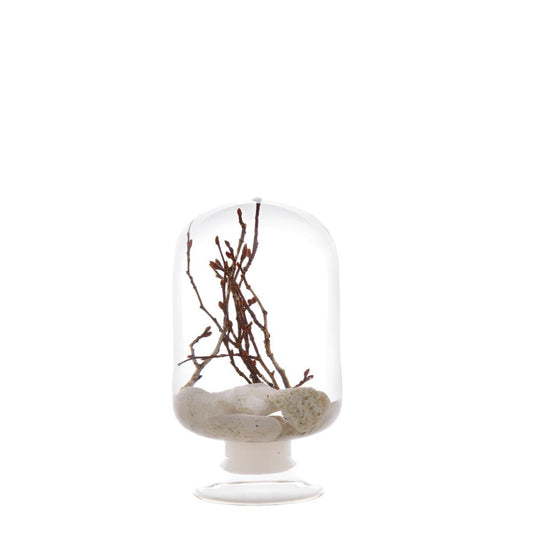 PIECES OF TIME | CORAL ZELKOVA | MEDIUM