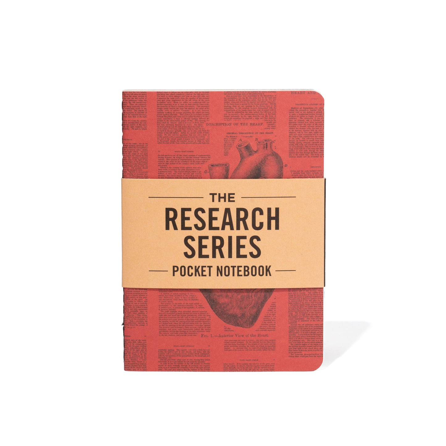 M71 ANATOMY POCKET BOOK | SET OF 4