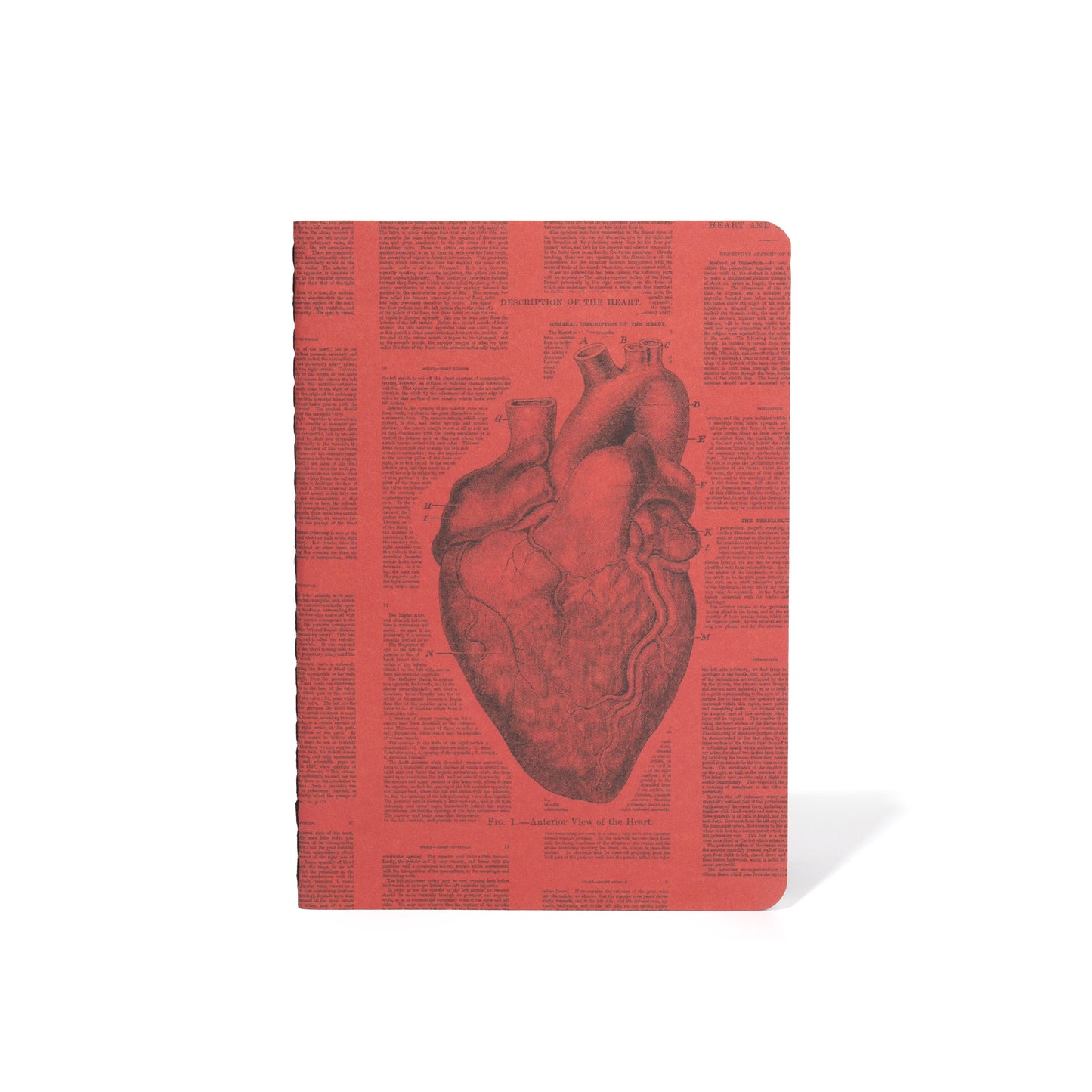 M71 ANATOMY POCKET BOOK | SET OF 4