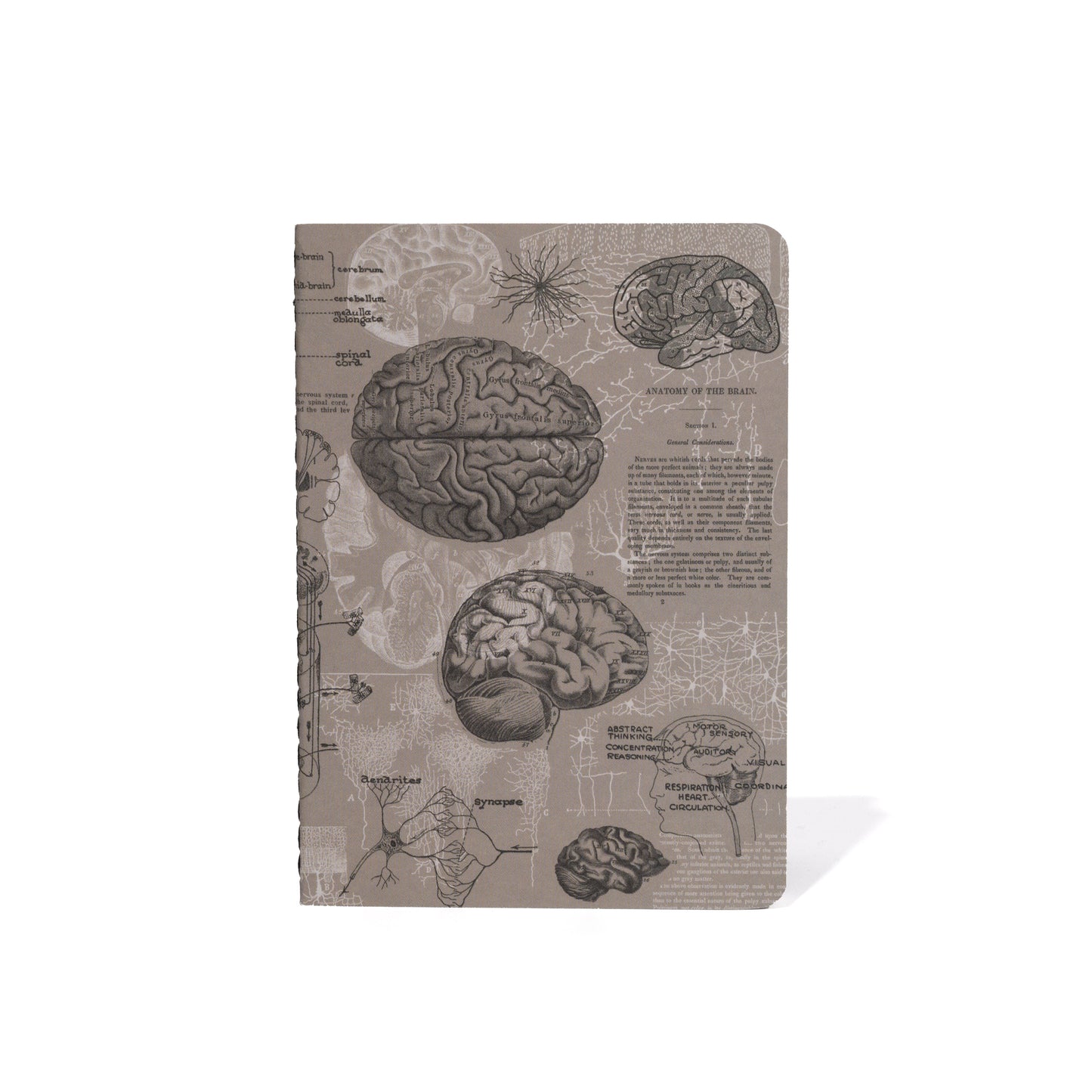 M71 ANATOMY POCKET BOOK | SET OF 4